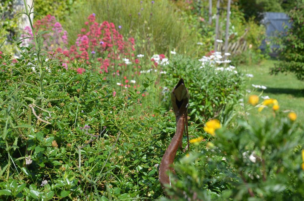 La Closerie Bed and Breakfast Nercillac Buitenkant foto